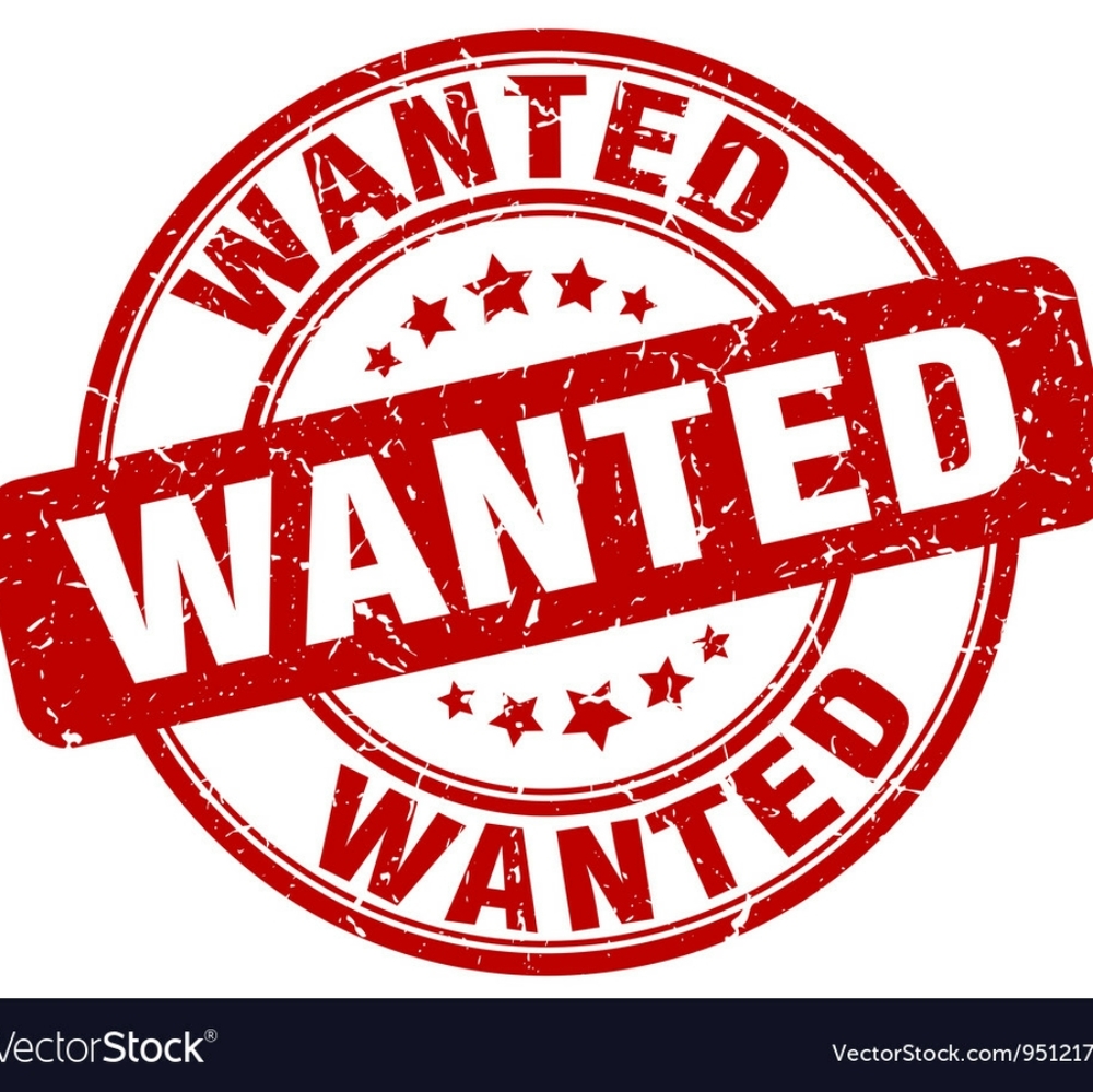 $ERIOU$ BUYER$!! OFFER$, BUNDLE$, $Hares...
